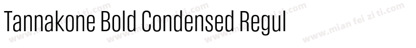 Tannakone Bold Condensed Regula字体转换